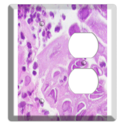 Esophagus Herpes Blank / Duplex Wallplate