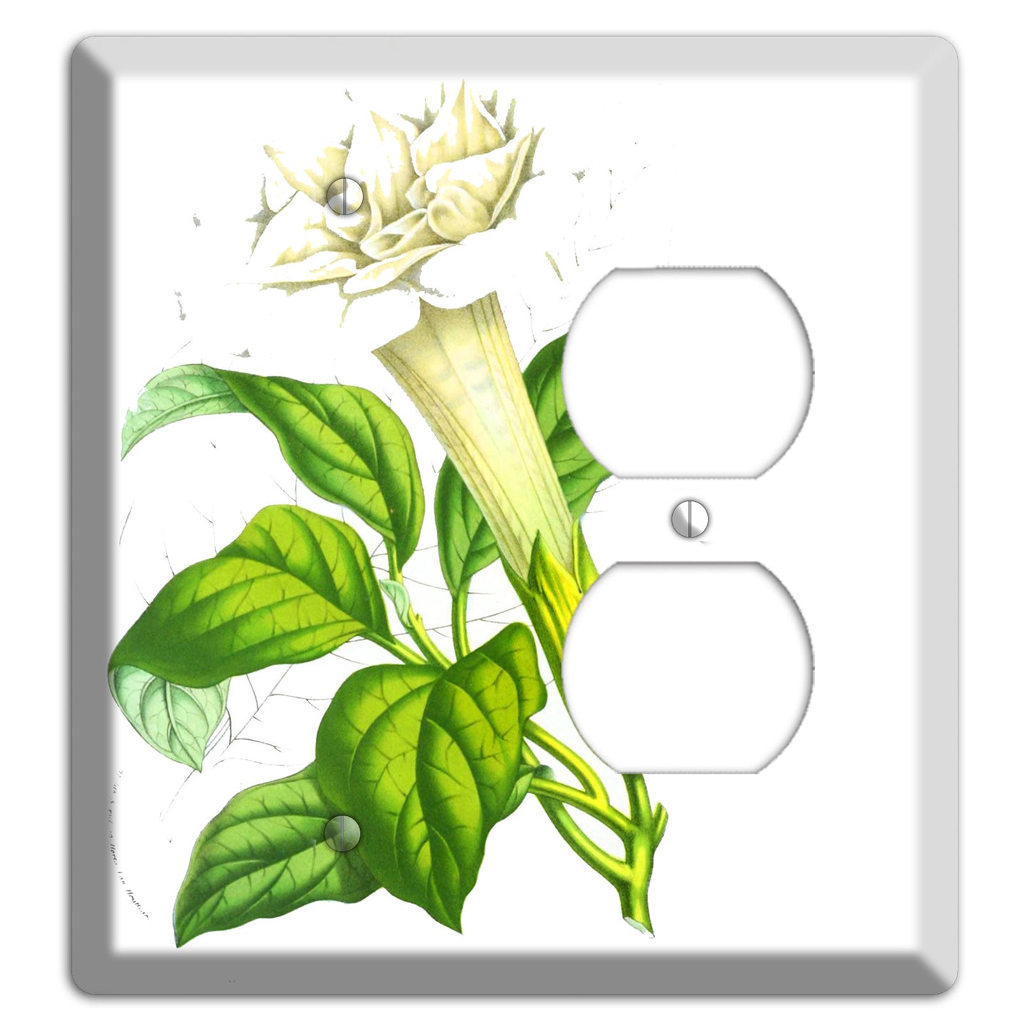 Datura Fastuosa Blank / Duplex Wallplate