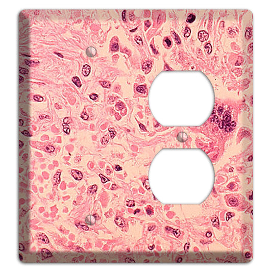 Measles Pneumonia Blank / Duplex Wallplate