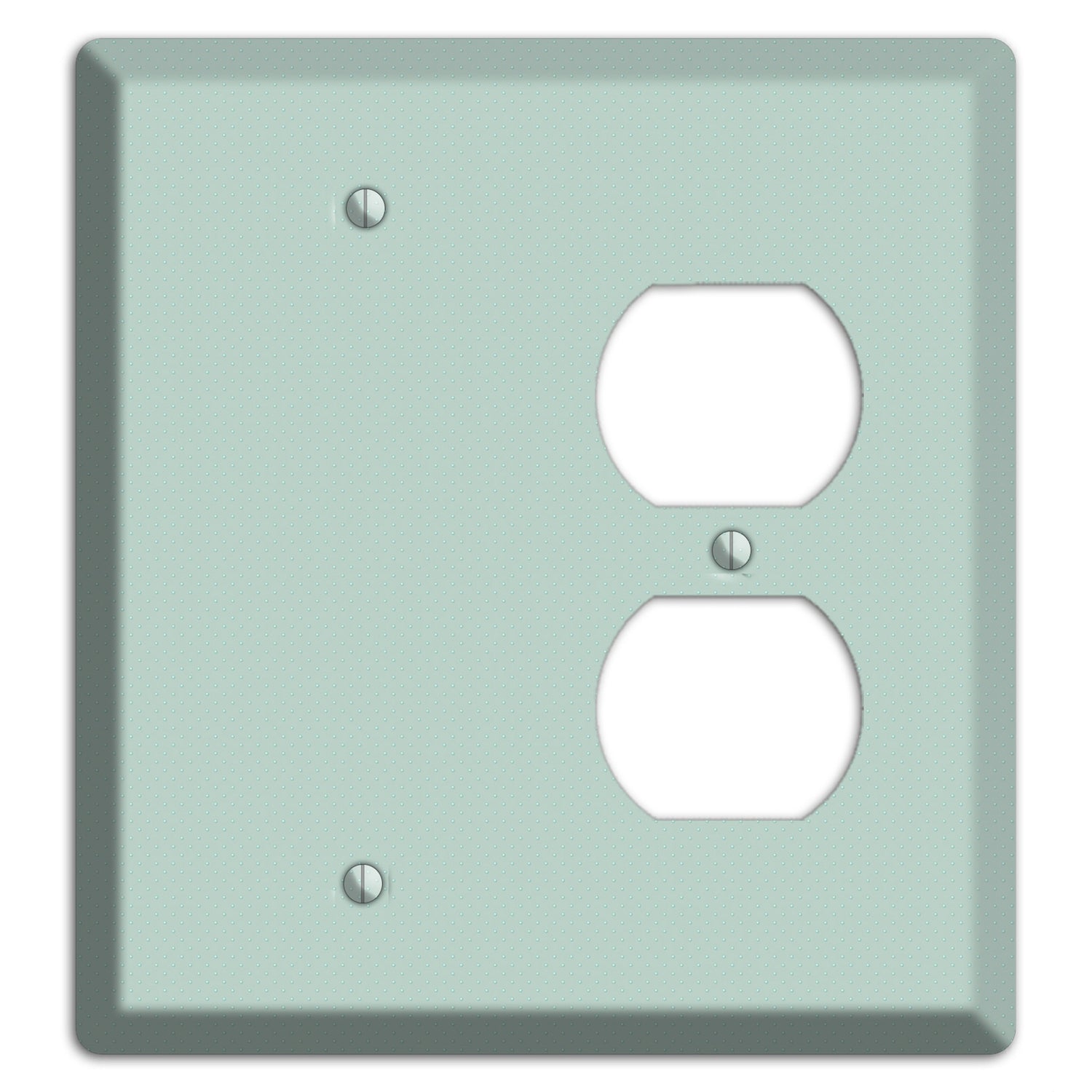 Sage with Tiny Dots Blank / Duplex Wallplate