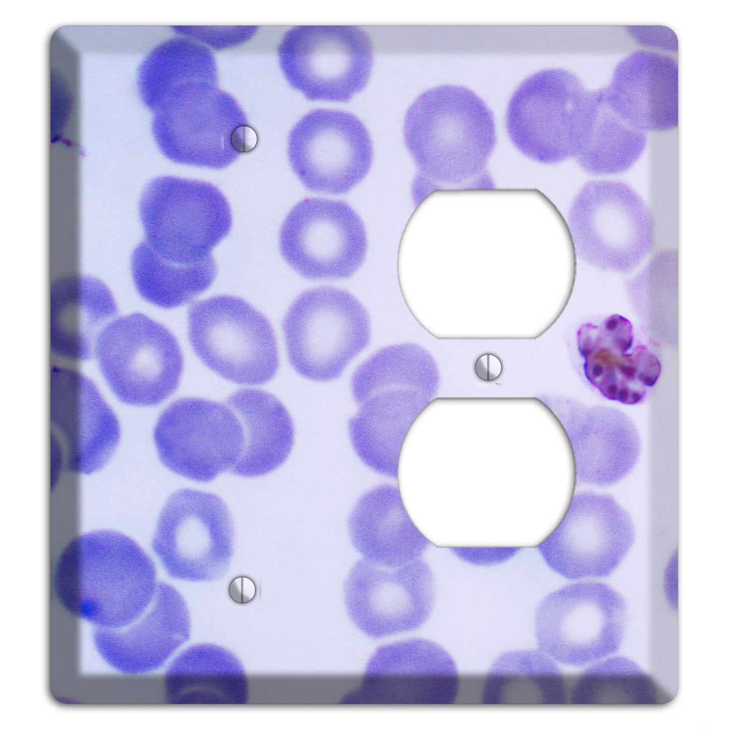 Plasmodium Malariae Schizont Blank / Duplex Wallplate