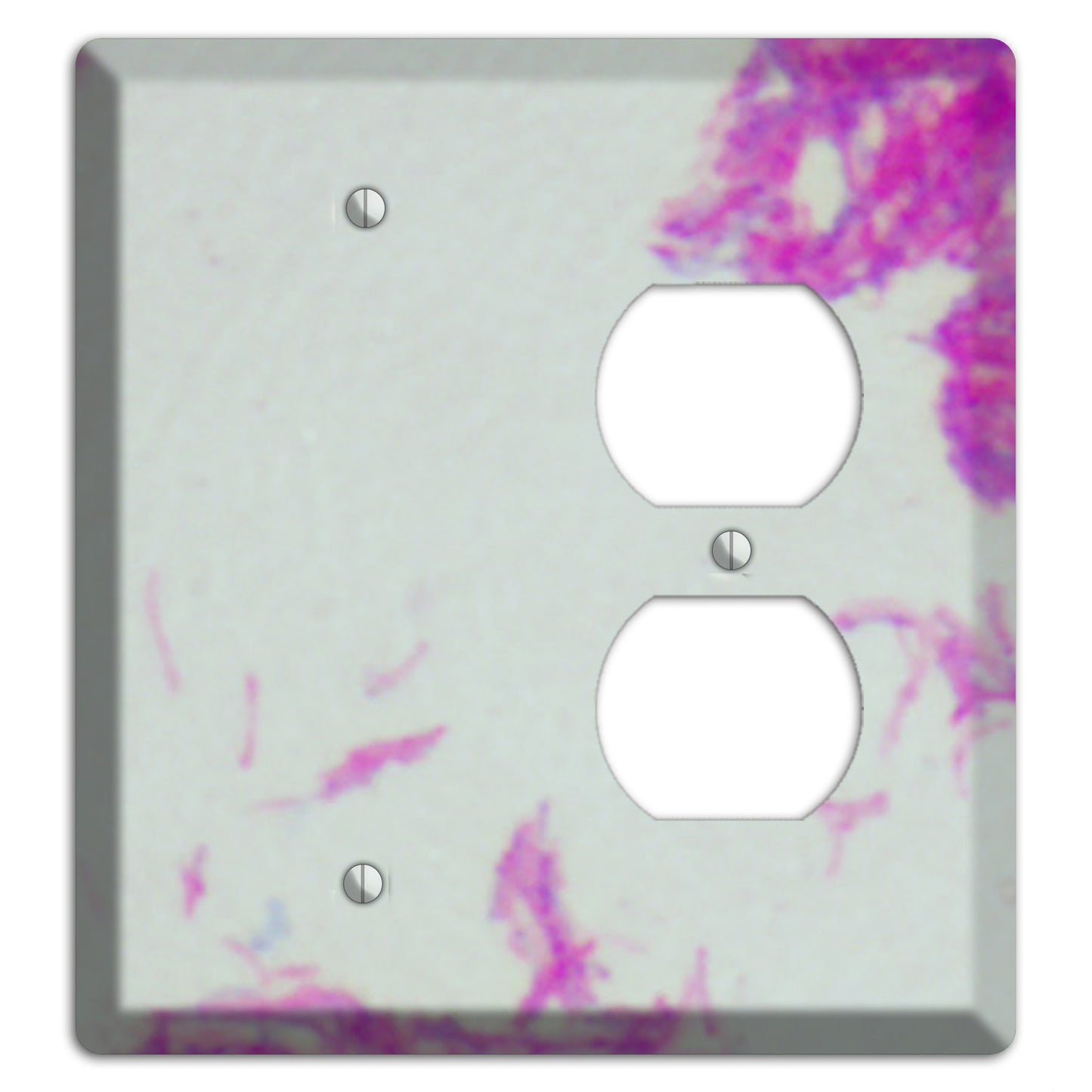 Mycobacterium Bovis Blank / Duplex Wallplate