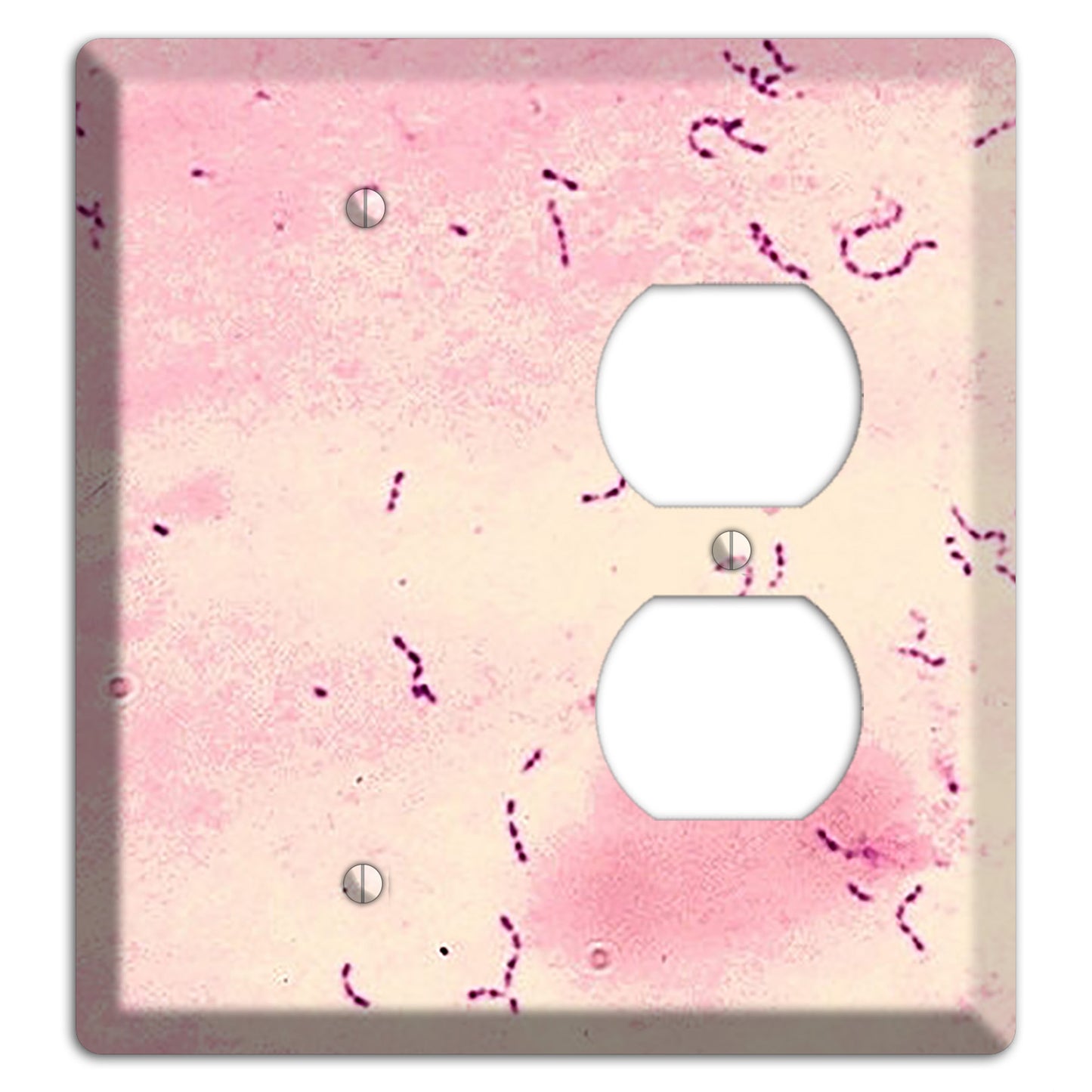 Streptococcus Mutans Blank / Duplex Wallplate