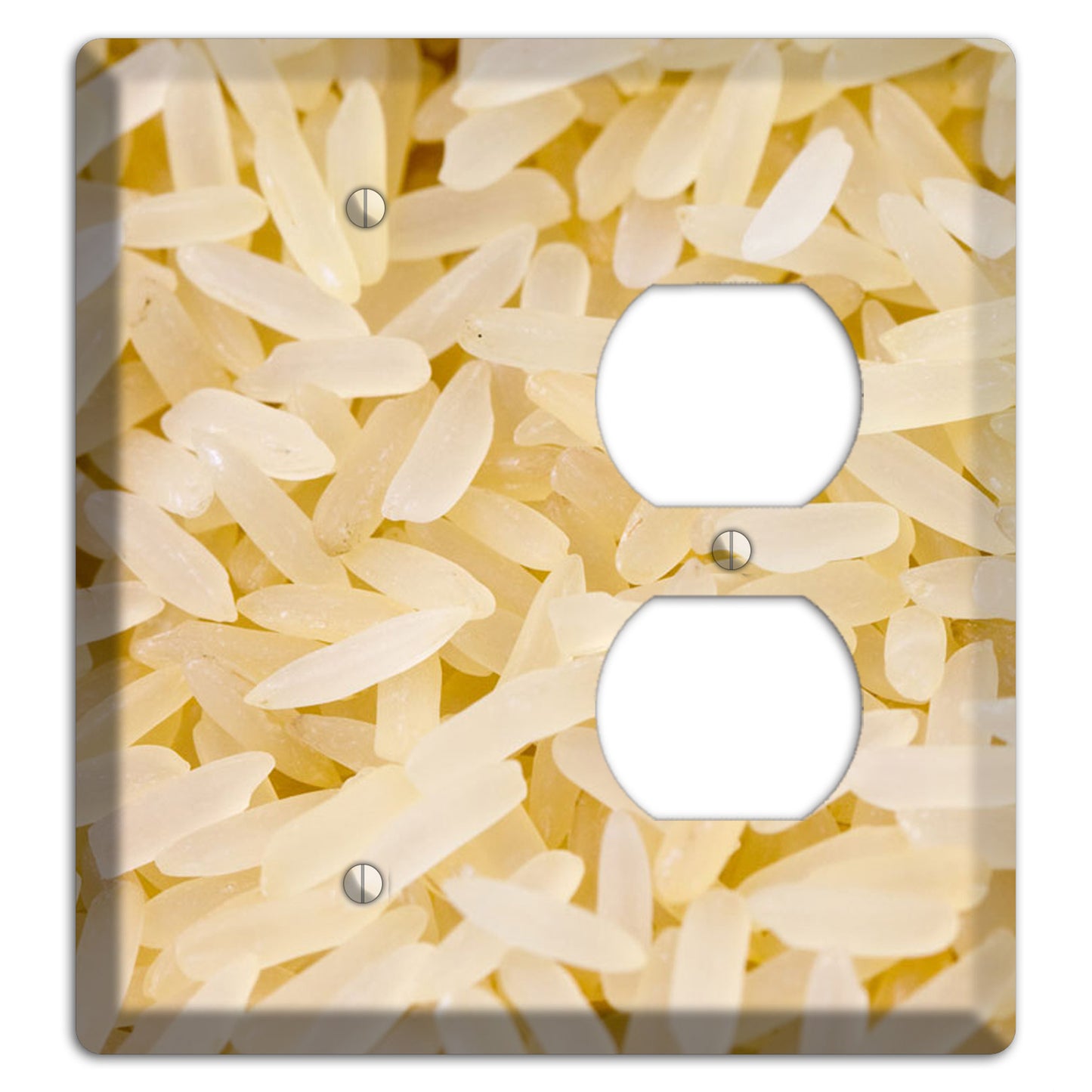 Rice Blank / Duplex Wallplate