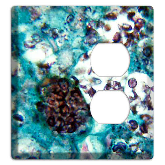 Histoplasmosis Capsulatum Blank / Duplex Wallplate