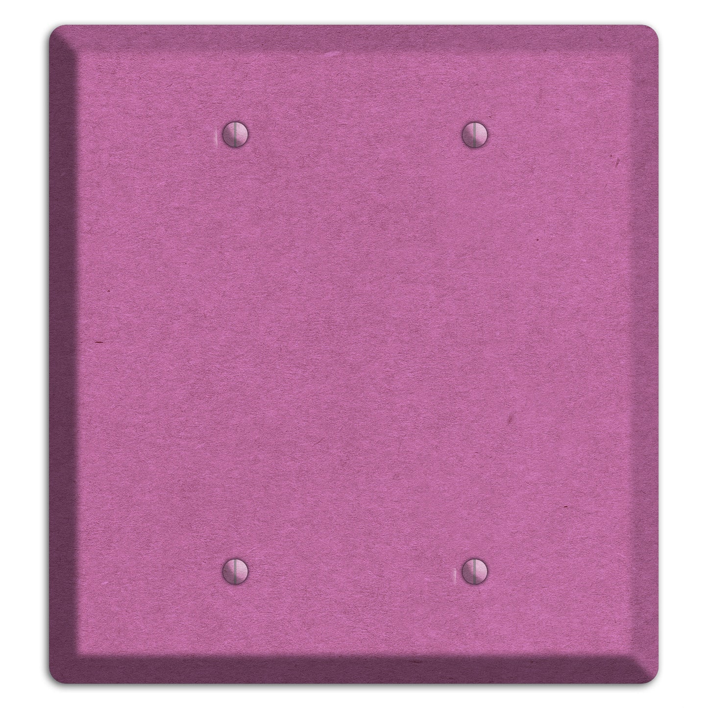 Tapestry Kraft 2 Blank Wallplate