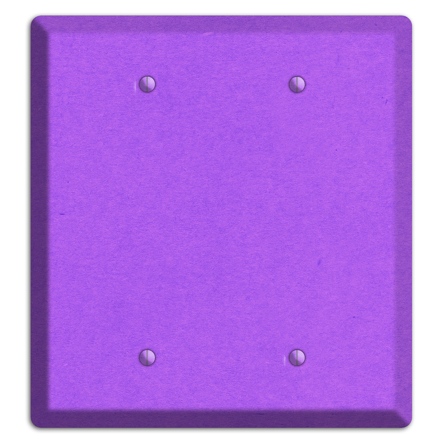 Dark Orchid Kraft 2 Blank Wallplate