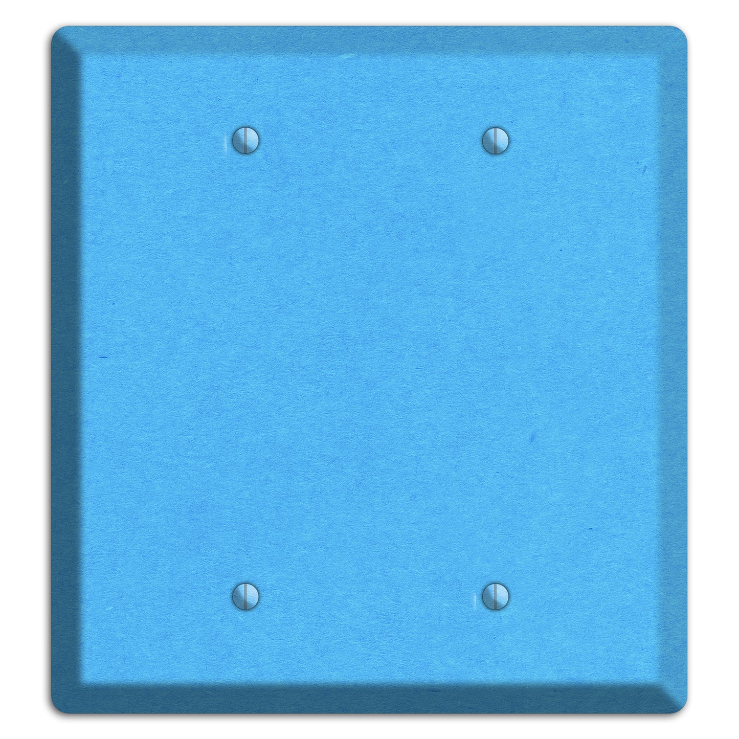 Maya Blue Kraft 2 Blank Wallplate