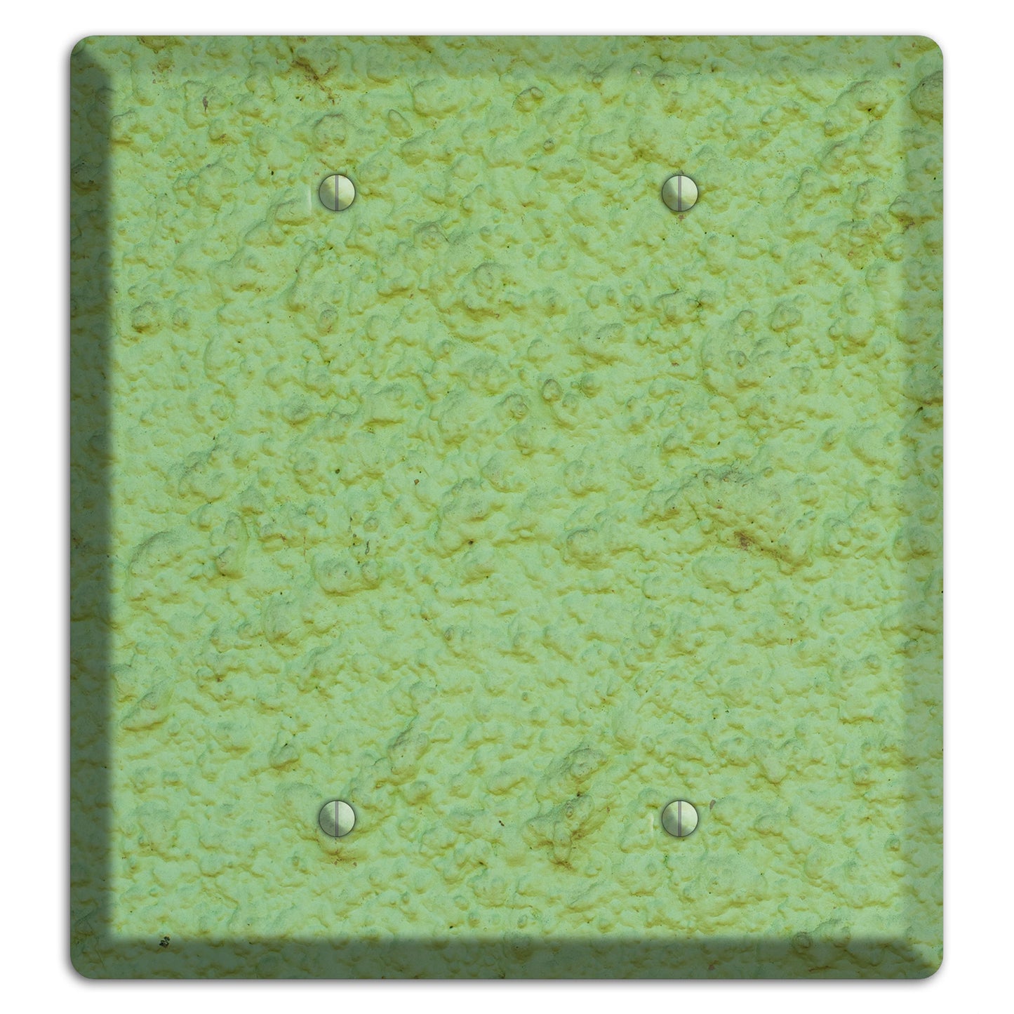 Green Concrete 2 Blank Wallplate