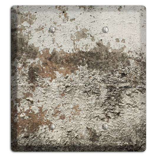 Old Concrete 12 2 Blank Wallplate