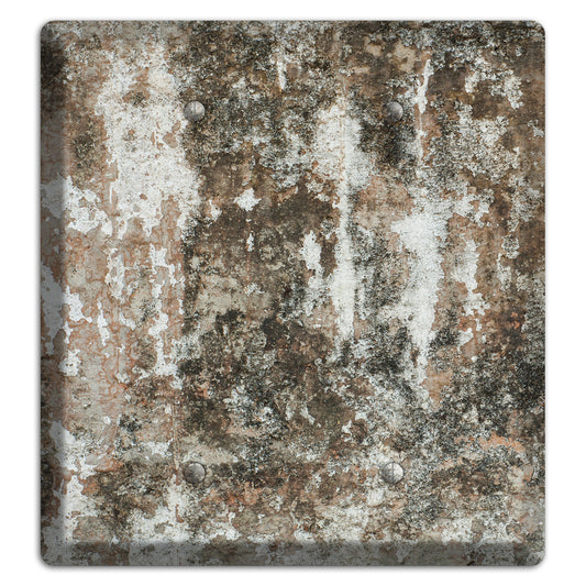 Old Concrete 10 2 Blank Wallplate