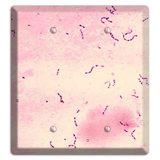 Streptococcus Mutans 2 Blank Wallplate