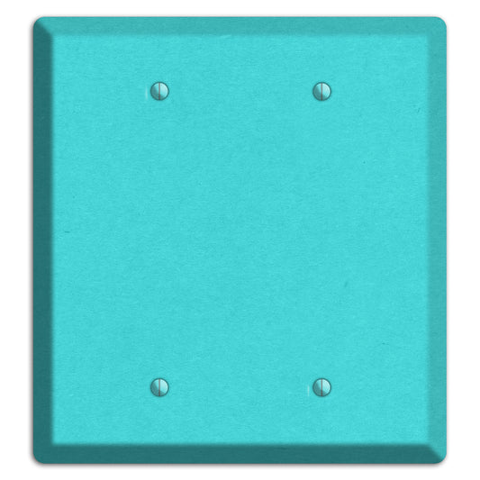 Turquoise Kraft 2 Blank Wallplate