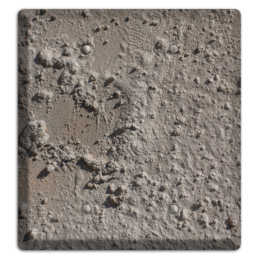 Plaster 2 2 Blank Wallplate