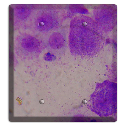 Mast Cell Tumor 2 Blank Wallplate