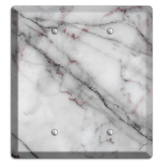 Scorpion Marble 2 Blank Wallplate