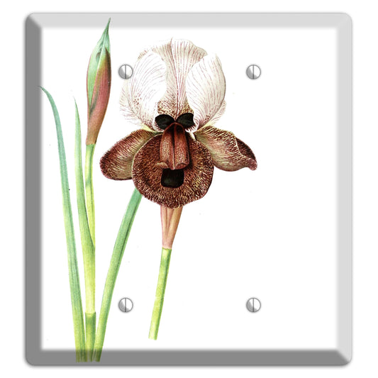 White iris 2 Blank Wallplate