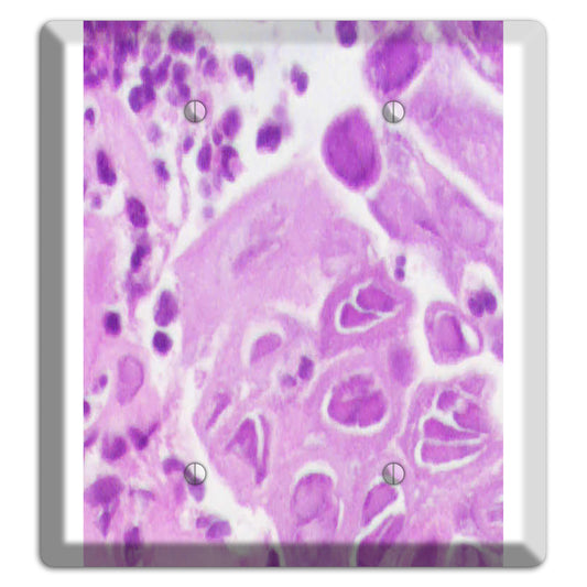 Esophagus Herpes 2 Blank Wallplate