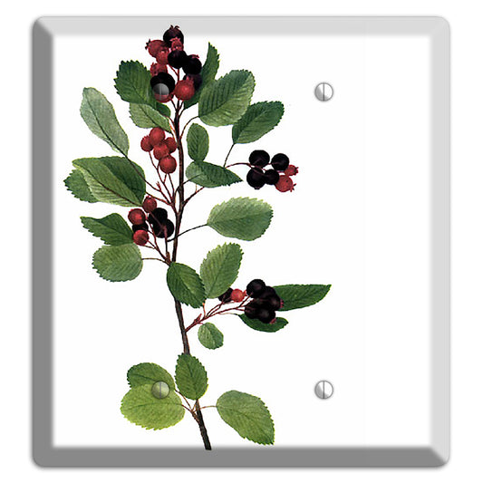 Amelanchier Ainifolia 2 Blank Wallplate