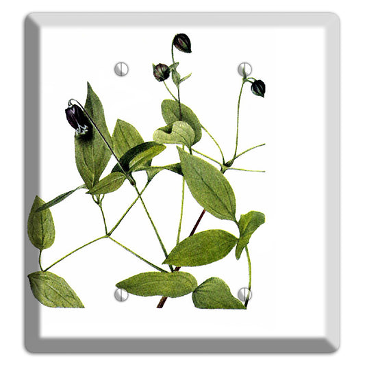 Clematis Viorna 2 Blank Wallplate