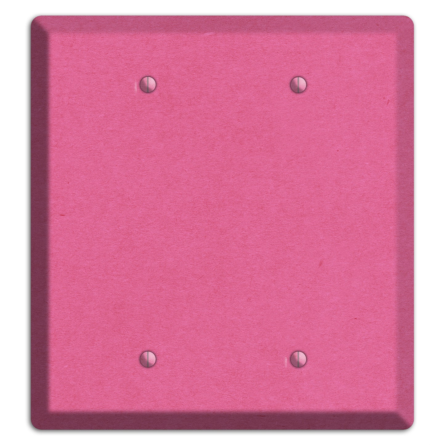 Cabaret Kraft 2 Blank Wallplate