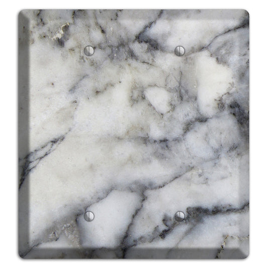 Mid Gray Marble 2 Blank Wallplate