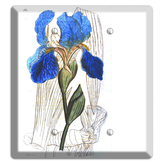 Blue Iris 2 Blank Wallplate