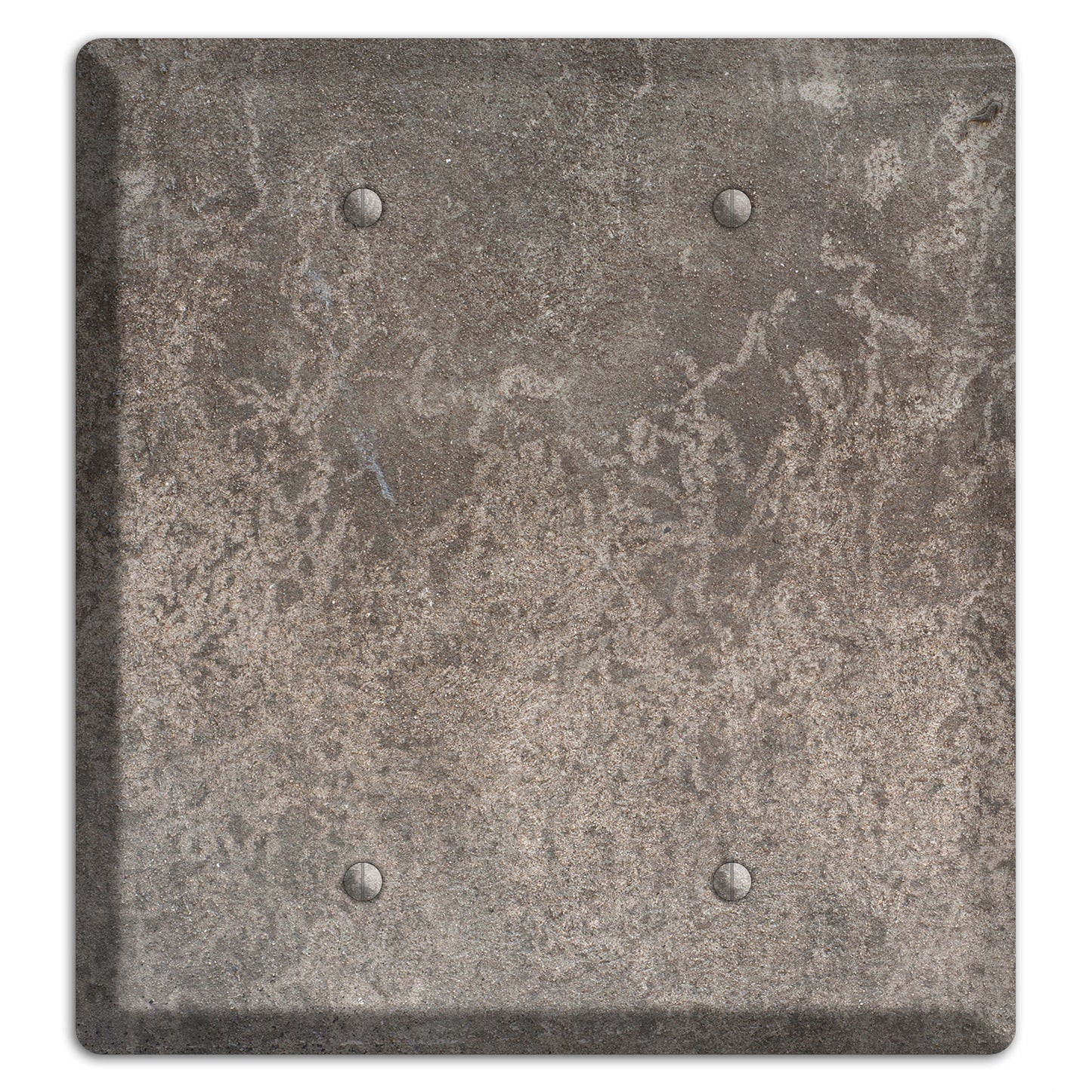 Old Concrete 1 2 Blank Wallplate