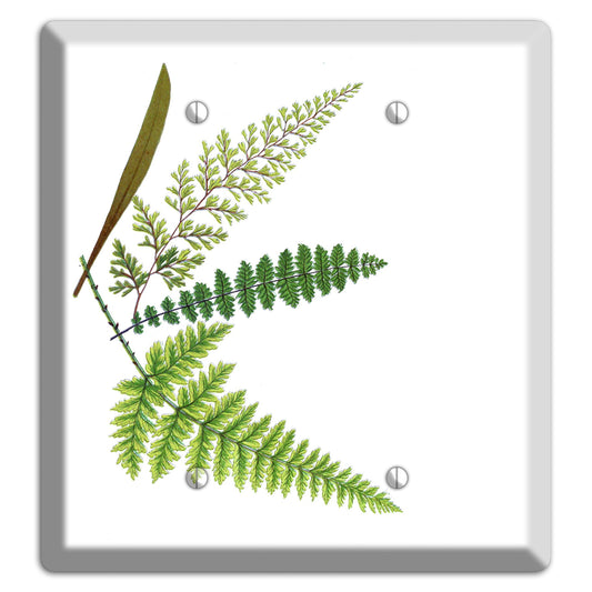 Ferns 2 Blank Wallplate