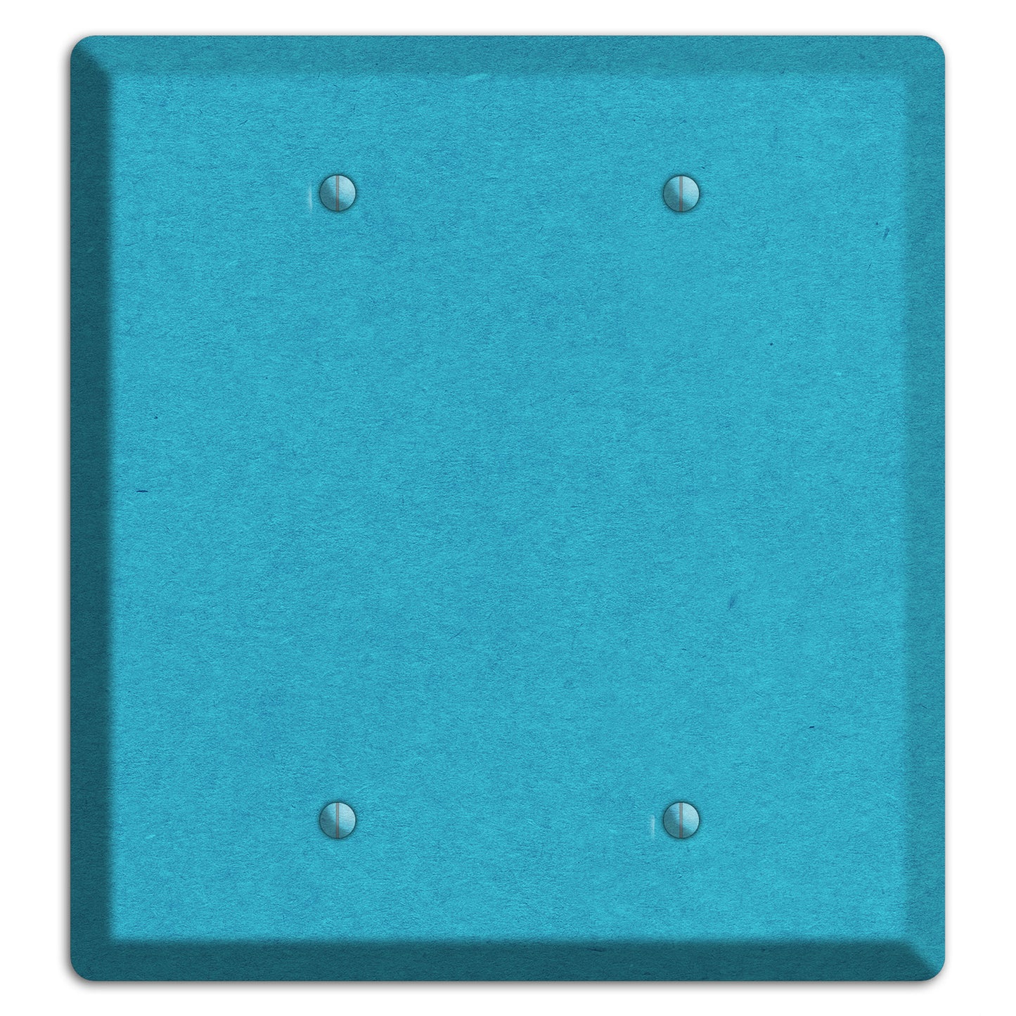 Scooter Kraft 2 Blank Wallplate