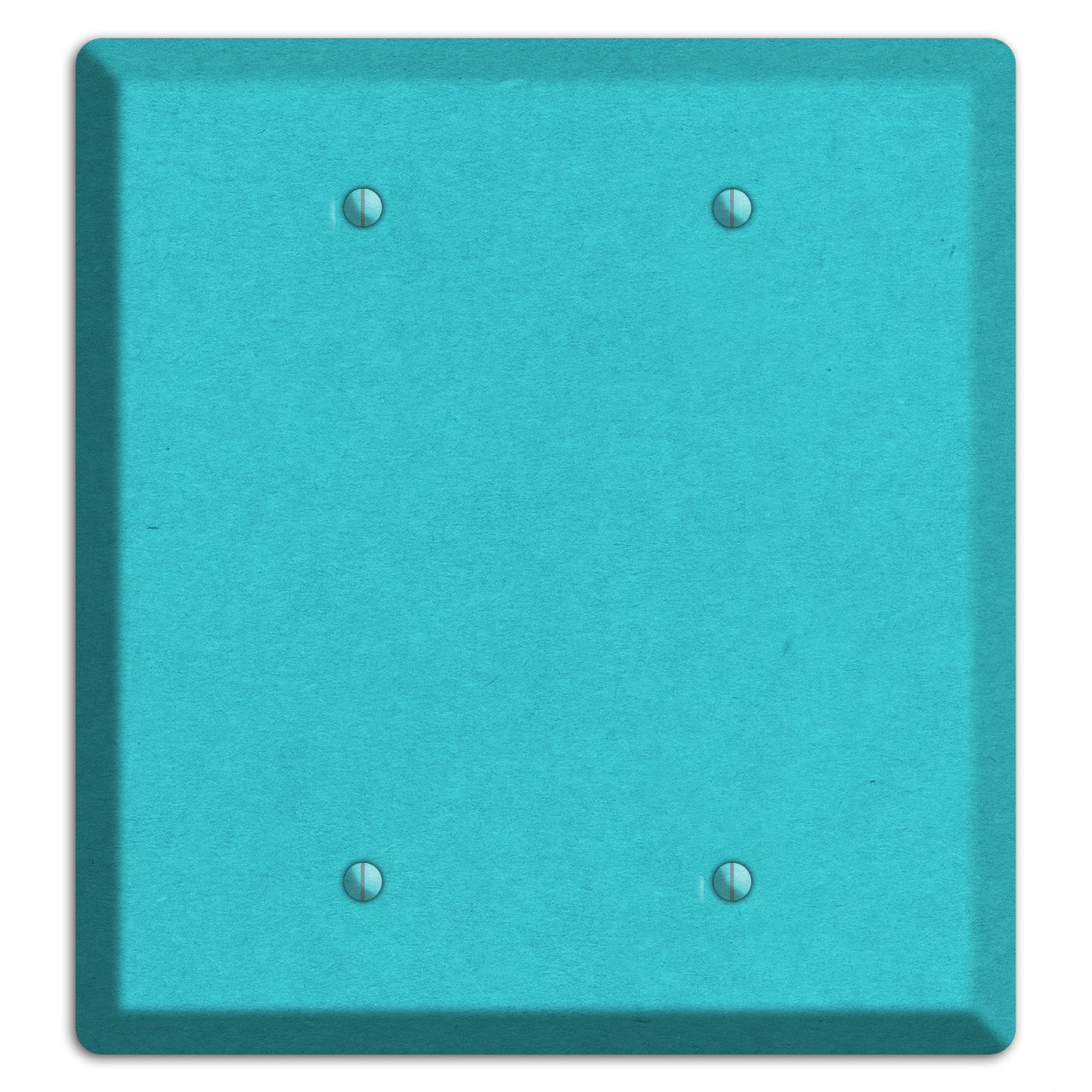 Medium Turquoise Kraft 2 Blank Wallplate