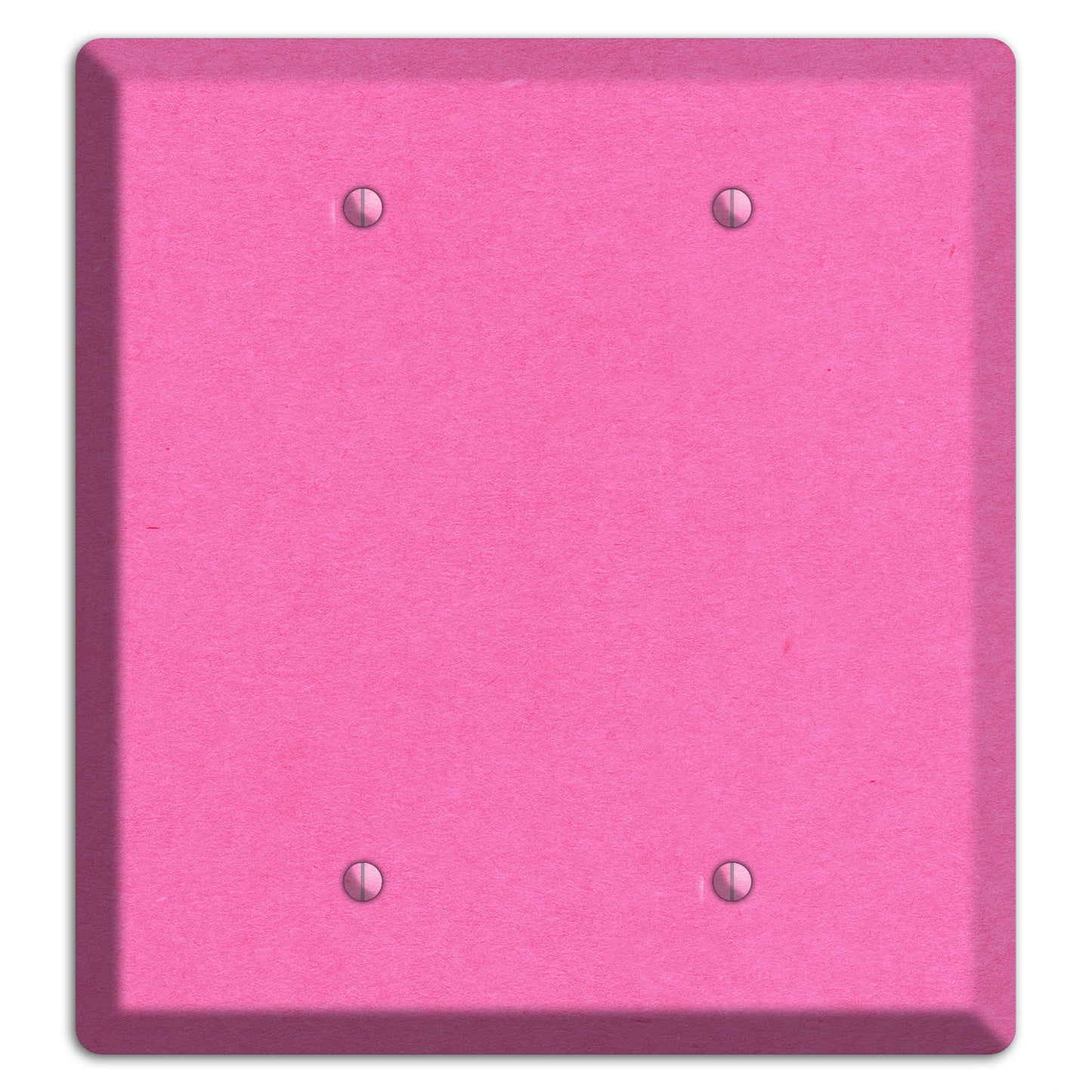 Persian Pink Kraft 2 Blank Wallplate