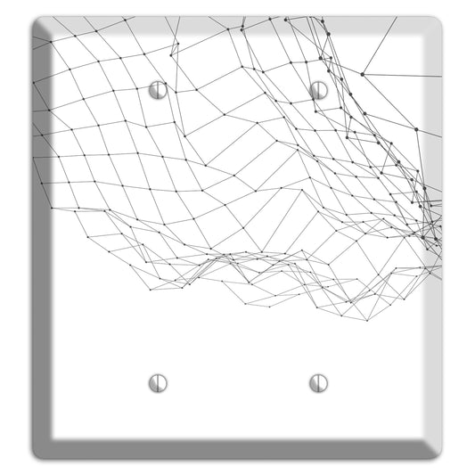 Linear I 2 Blank Wallplate