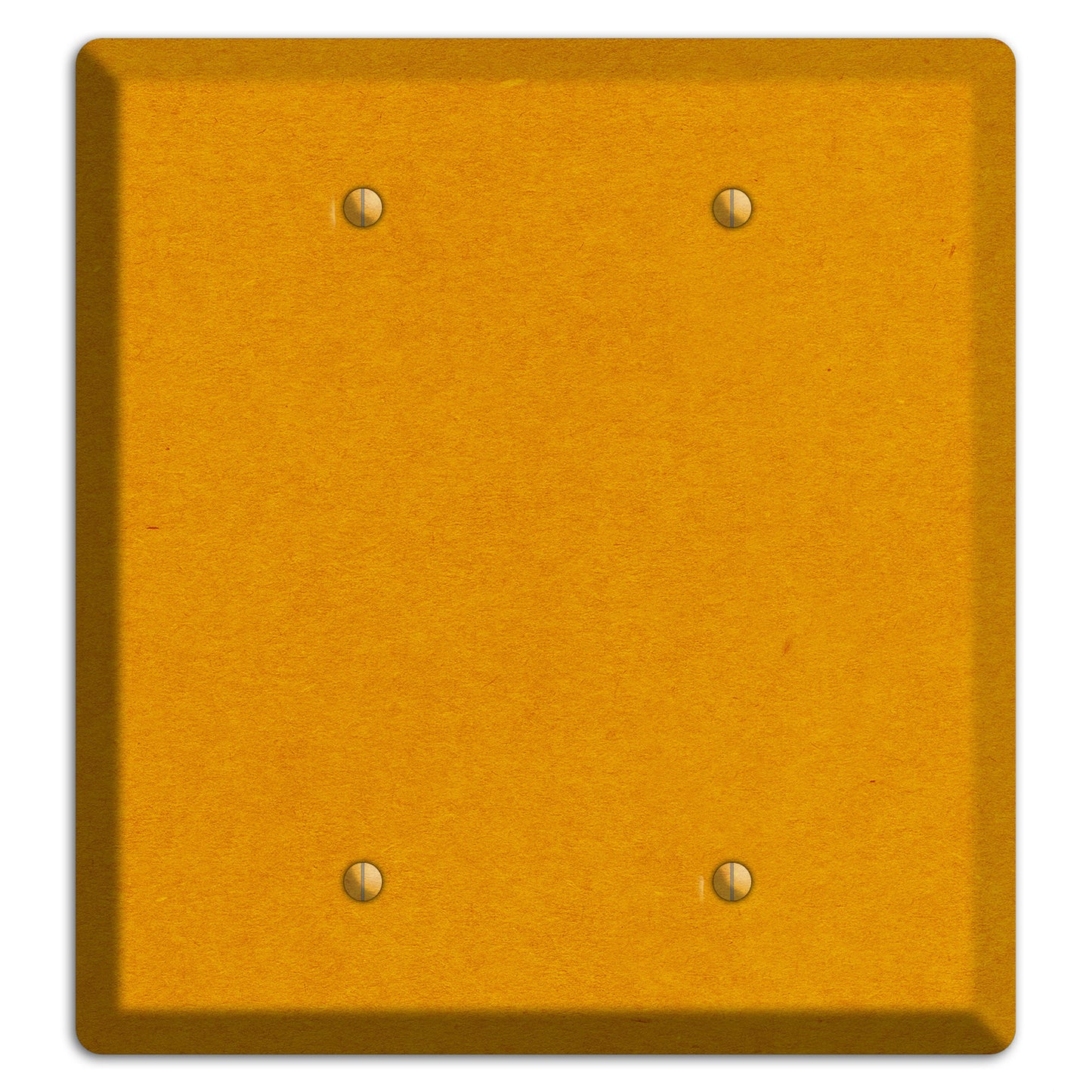 Tangerine Kraft 2 Blank Wallplate