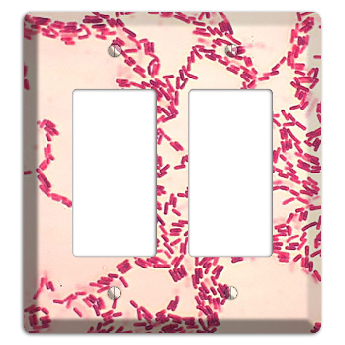 Bacillus Coagulans 2 Rocker Wallplate