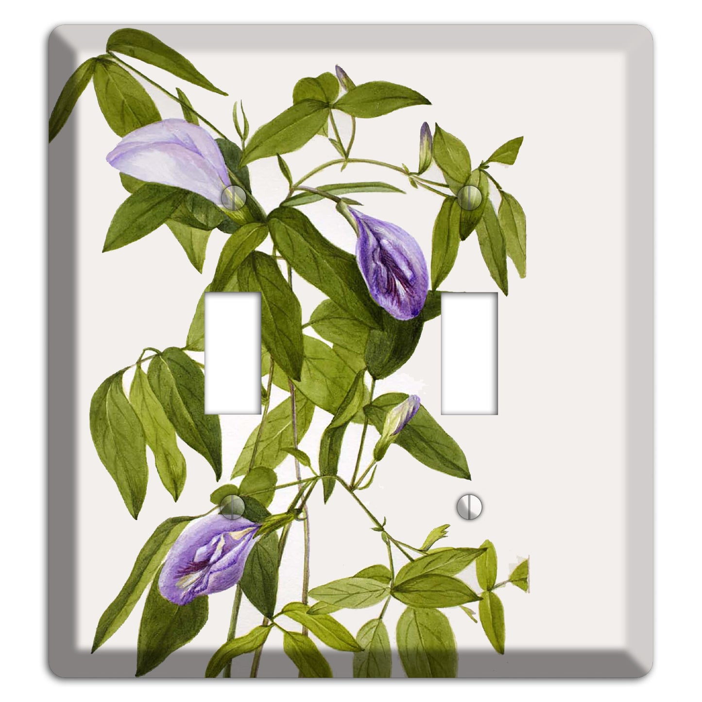 Clitoria Mariana 2 Toggle Wallplate