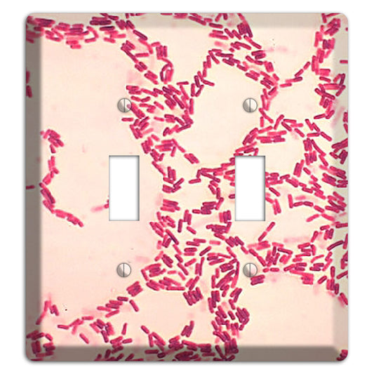 Bacillus Coagulans 2 Toggle Wallplate