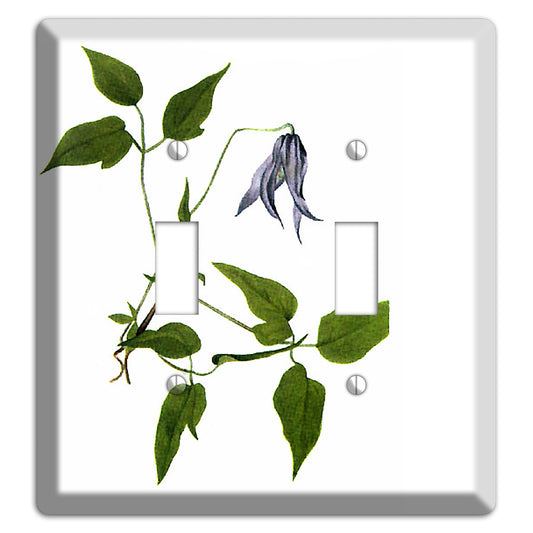 Clematis Columbiana 2 Toggle Wallplate