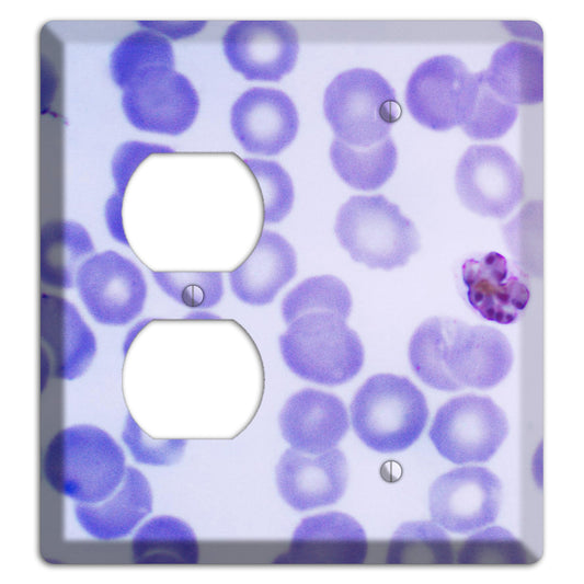 Plasmodium Malariae Schizont Duplex / Blank Wallplate