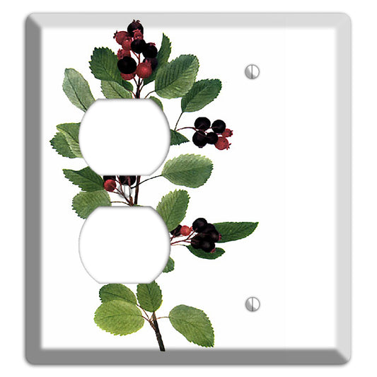 Amelanchier Ainifolia Duplex / Blank Wallplate