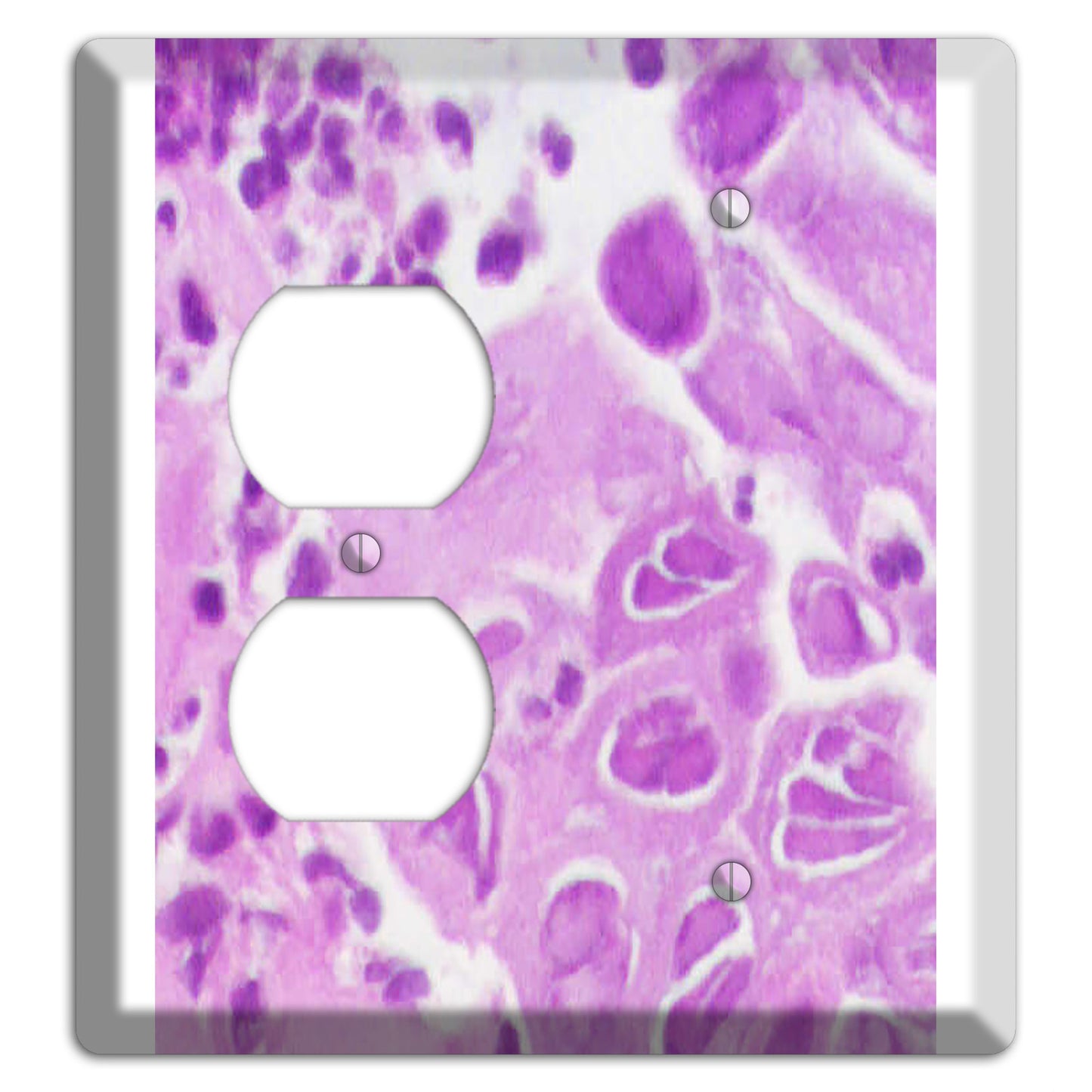 Esophagus Herpes Duplex / Blank Wallplate