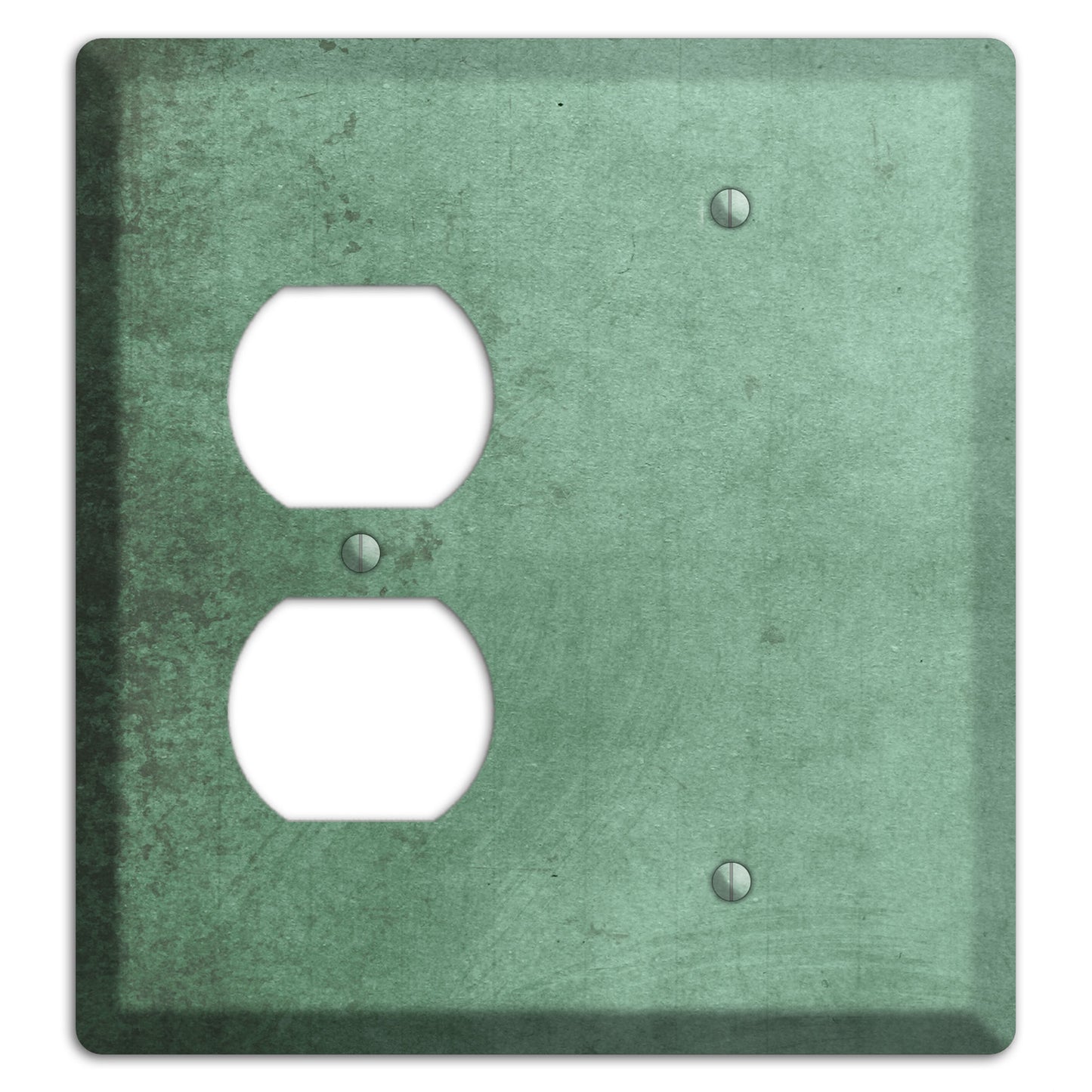 Bay Leaf Vintage Grunge Duplex / Blank Wallplate