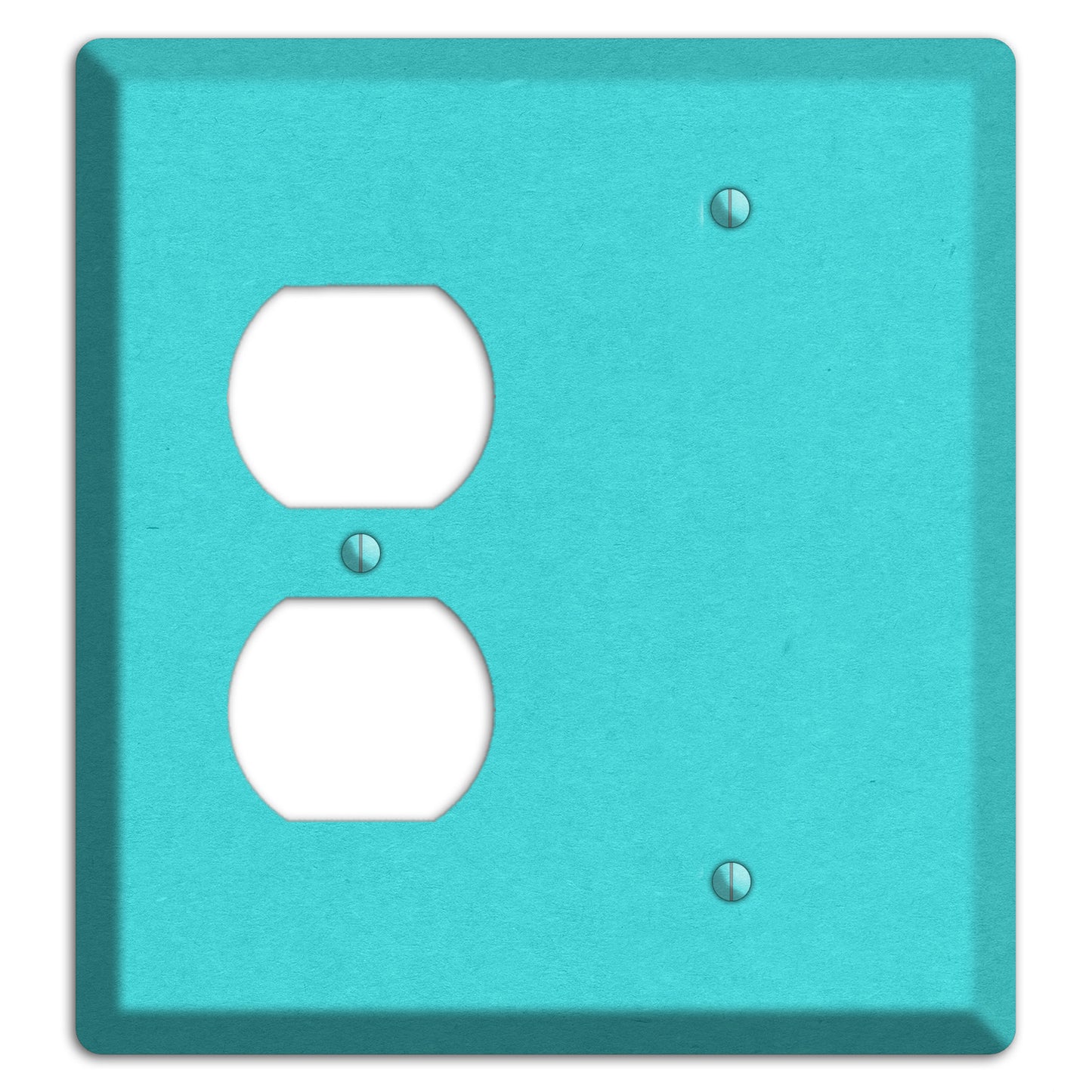 Turquoise Kraft Duplex / Blank Wallplate