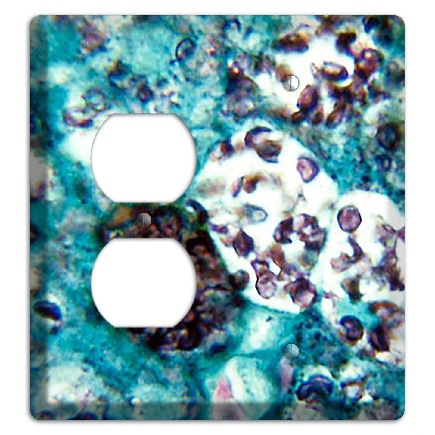 Histoplasmosis Capsulatum Duplex / Blank Wallplate