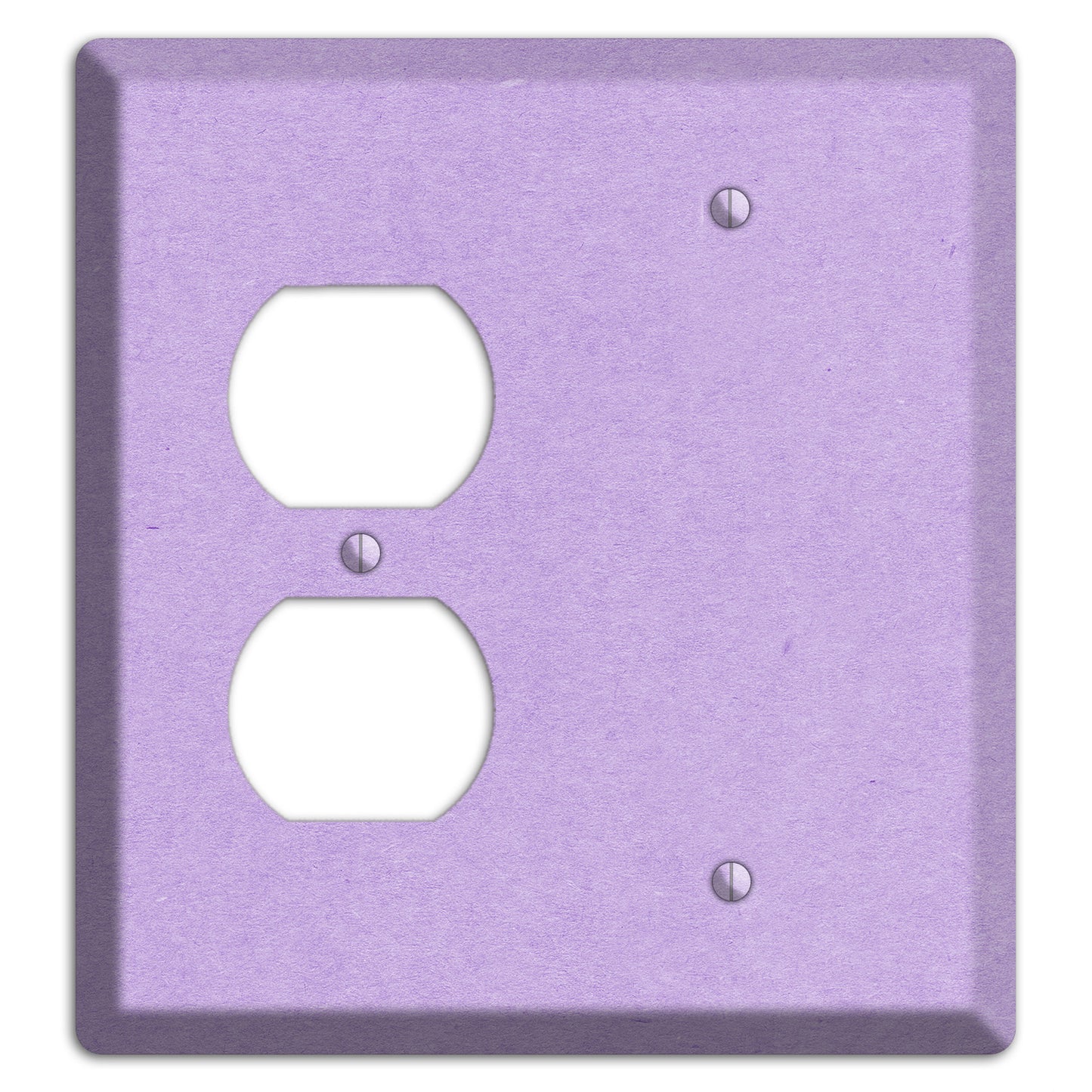 Wisteria Kraft Duplex / Blank Wallplate