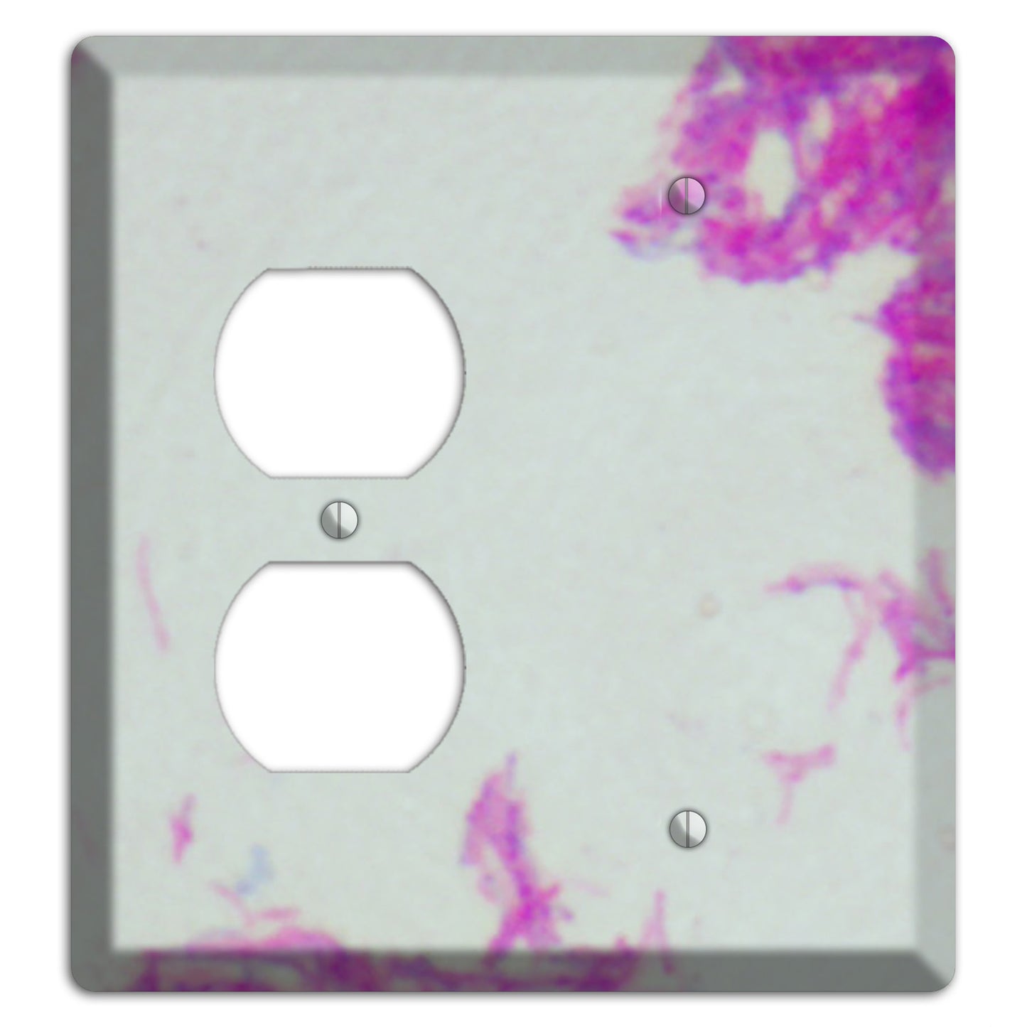 Mycobacterium Bovis Duplex / Blank Wallplate