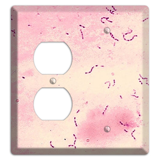 Streptococcus Mutans Duplex / Blank Wallplate