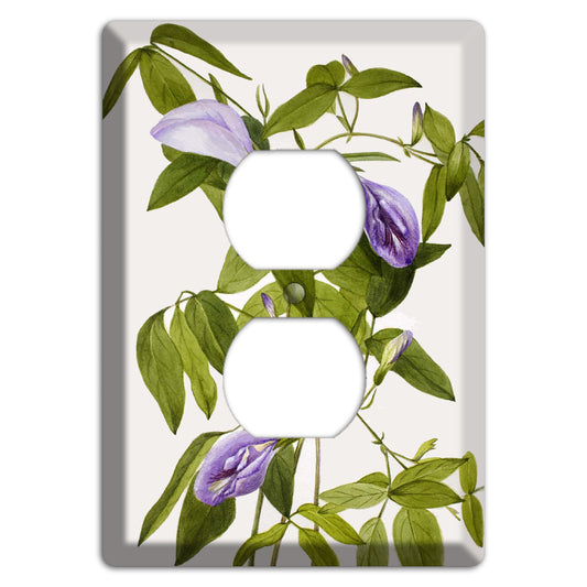 Clitoria Mariana Duplex Outlet Wallplate