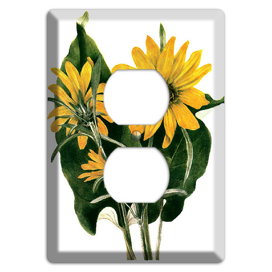 Balsamorhiza Sagittata Duplex Outlet Wallplate