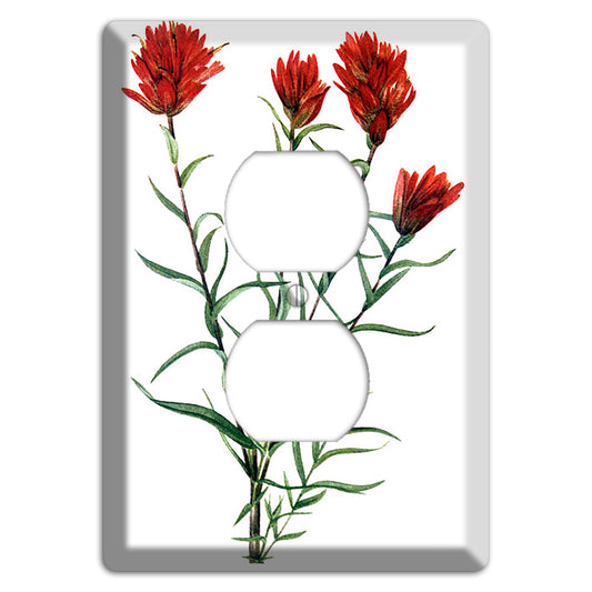 Castilleja Linarifolia Duplex Outlet Wallplate